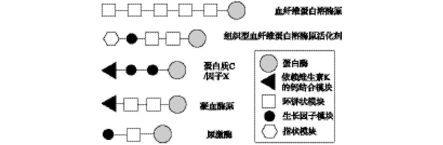 七、外显子改组